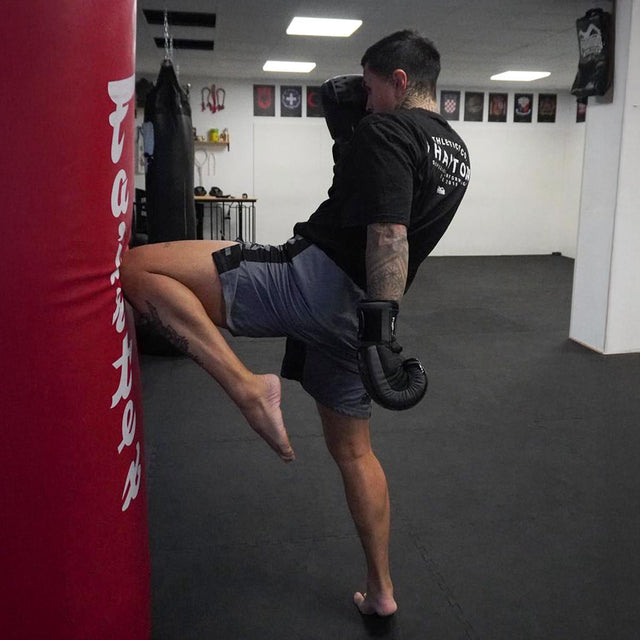 Phantom Athletics MMA Shorts EVO Apex – Šedé