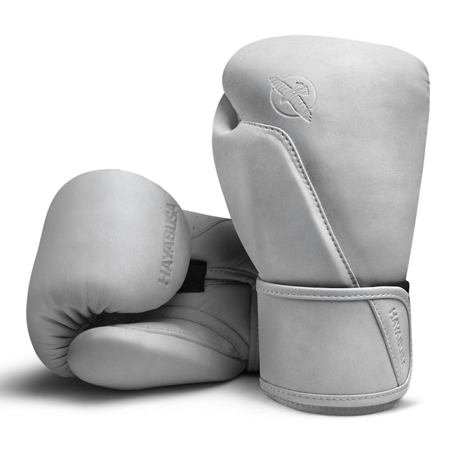 Guantoni da boxe Hayabusa T360 – Sea Smoke