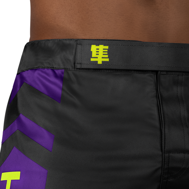 Hayabusa Icon MMA-Shorts – Schwarz/Neon