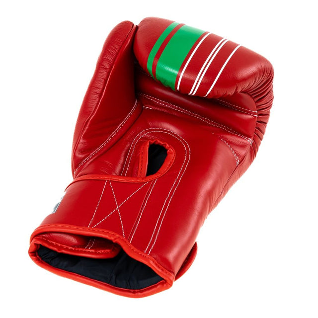Guantoni da boxe Booster V9 'Morocco' – Rosso/Verde
