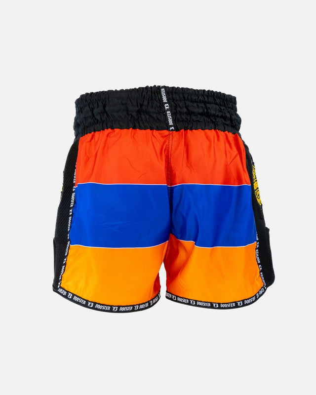 Shorts de Muay Thai Booster Country Armenia – Noir