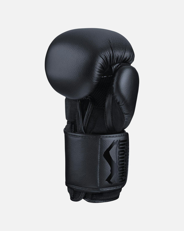 Gants de boxe Phantom Athletics Elite ATF – Noir