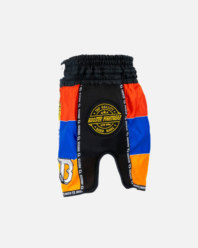 Shorts de Muay Thai Booster Country Armenia – Noir
