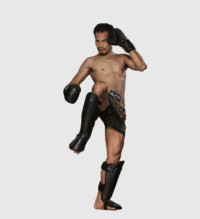 Protège-tibias King Pro Boxing SG2 - Noir