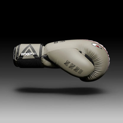 Gants de boxe Phantom Athletics Fight Squad - Sand