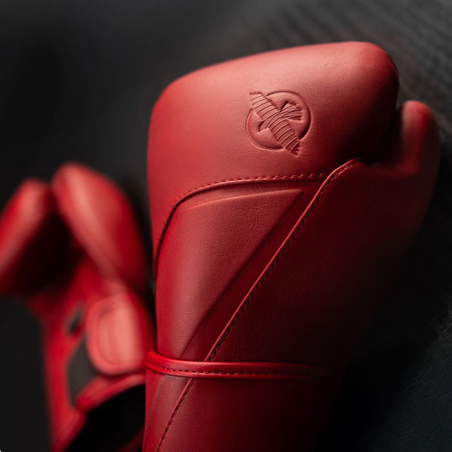 Hayabusa Boxing gloves E1 – Red