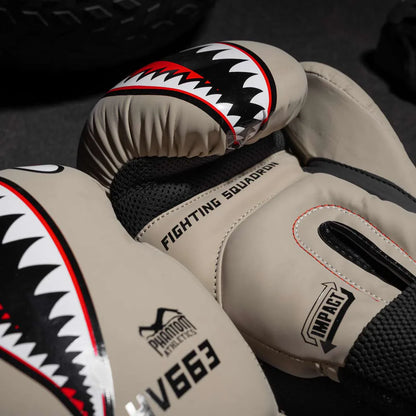 Gants de boxe Phantom Athletics Fight Squad - Sand