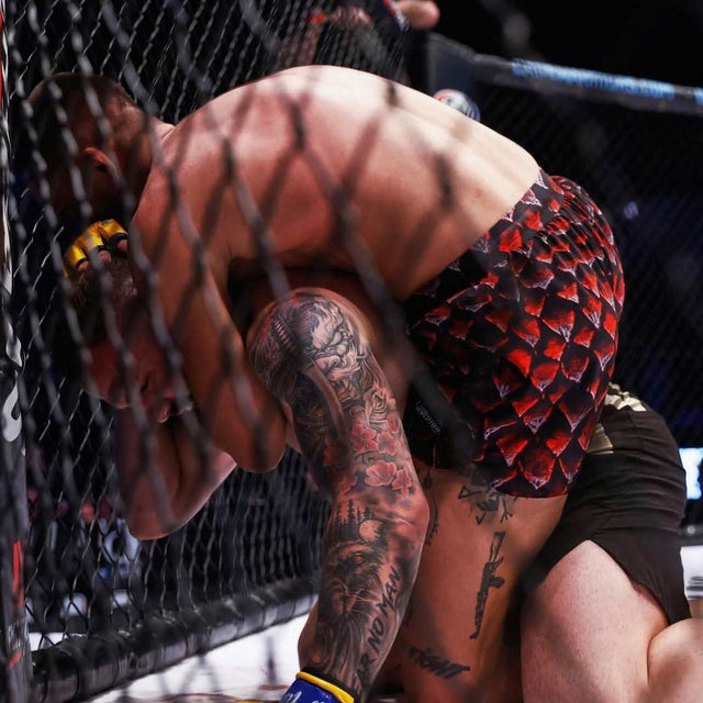Phantom Athletics MMA-Shorts Fusion Red Dragon – Rot