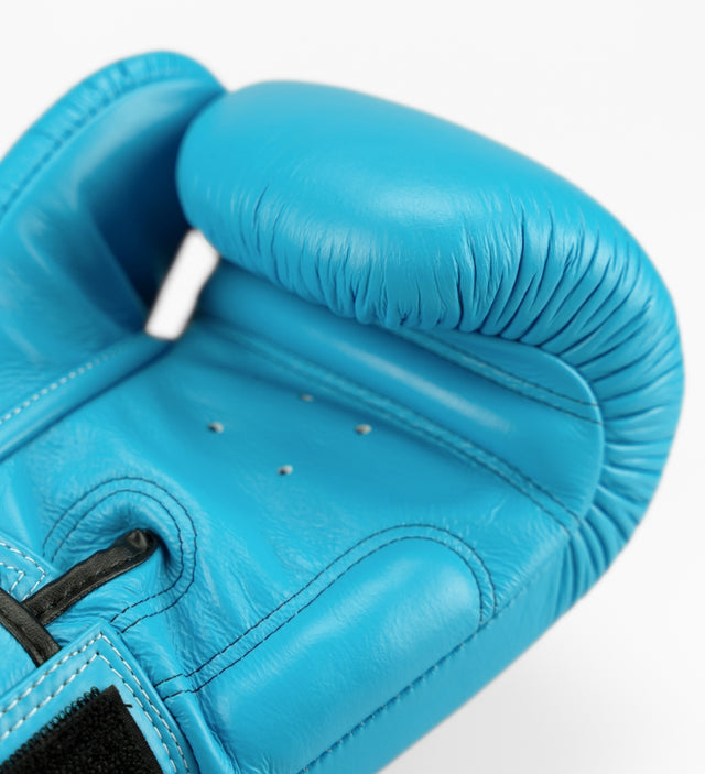 Twins Boxhandschuhe BGVL3 – Hellblau