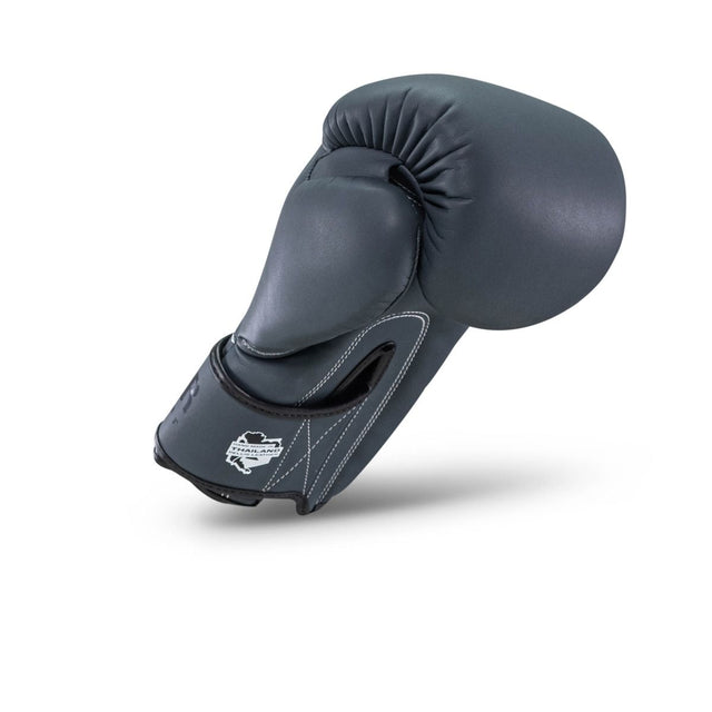 Booster Boxhandschuhe PRO BGL VX2 – Navy Blau