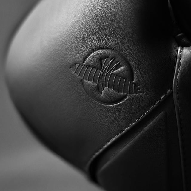 Guantes de boxeo Hayabusa E1 – Negro