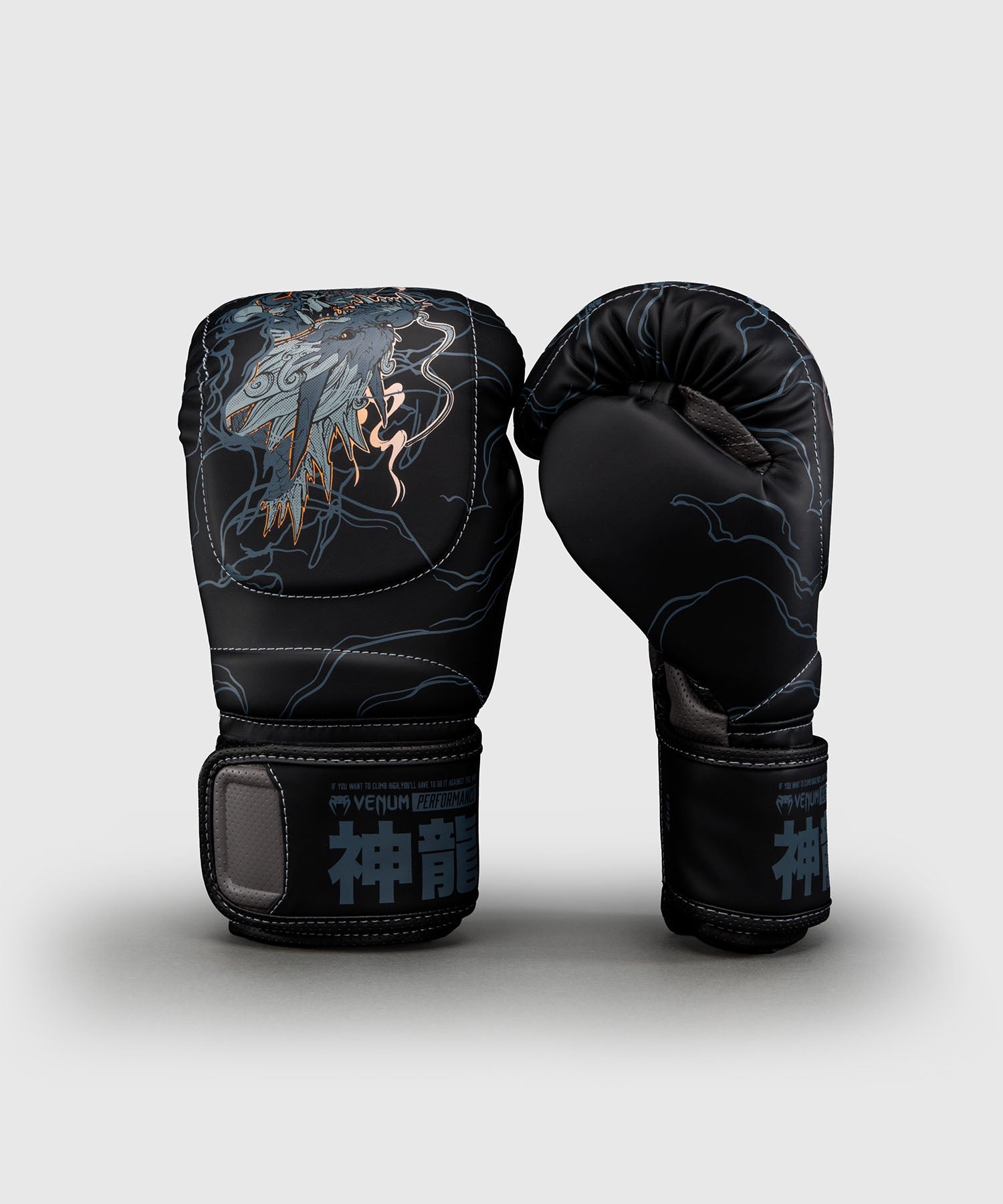 Venum Boxing gloves Thunder Dragon – Black/Grey/Copper