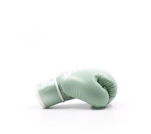 Twins Boxing Gloves BGVL3 - Mint