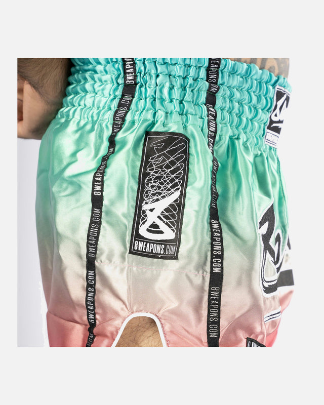 8 WEAPONS Muay Thai Shorts Vivo Mesosphere – Mesosphere