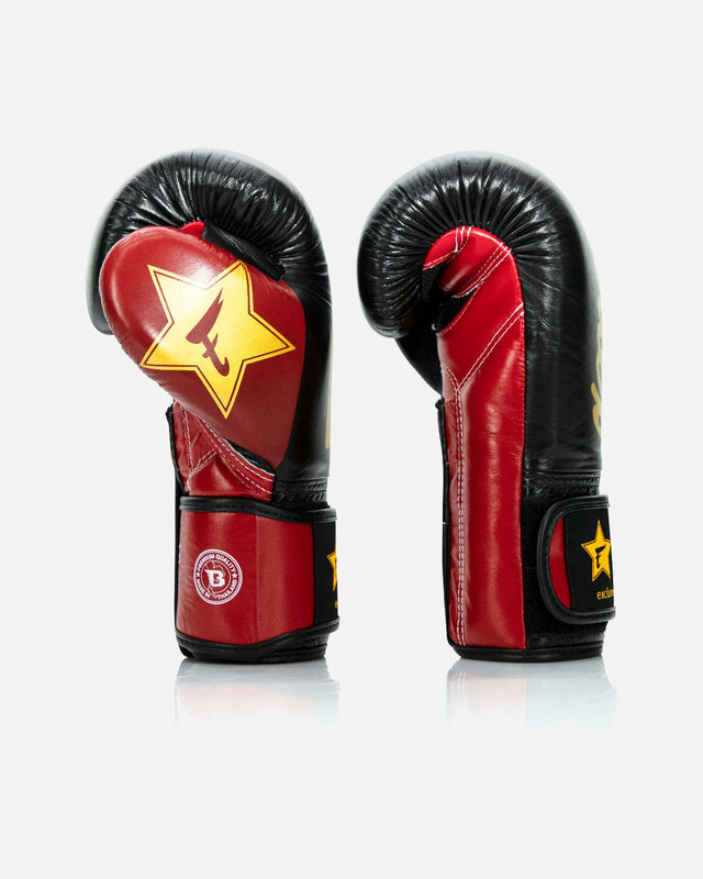 Gants de boxe Fairtex FXB V2 – Noir