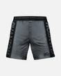 Phantom Athletics MMA Shorts EVO Apex – Šedé
