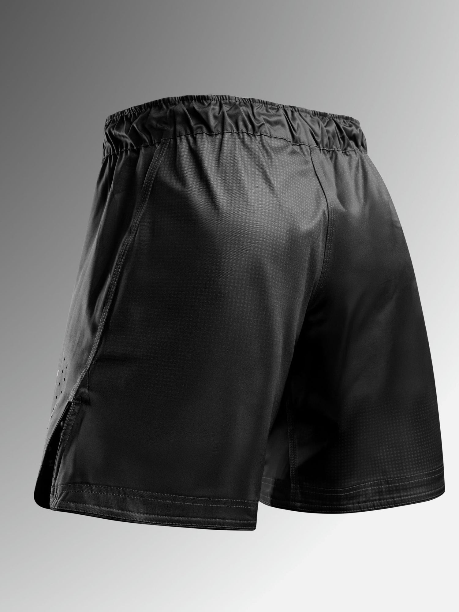 Hayabusa MMA Shorts Apex Core - Zwart
