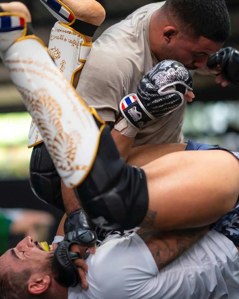 Phantom Athletics MMA Handschoenen Sparring Muay Thai - Zwart/Zilver