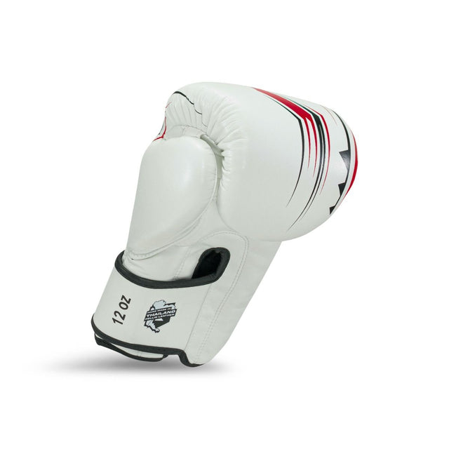 King Pro Boxing Bokshandschoenen BG Spartan - Wit/Zwart/Rood